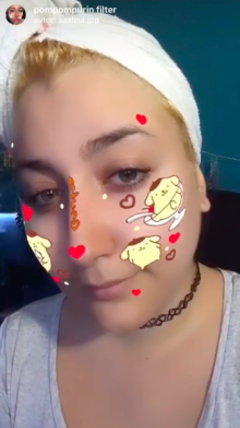 pompompurin filter