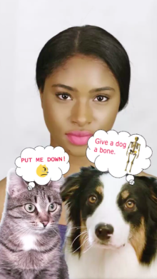 pet thoughts