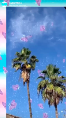 butterflhine