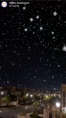 Winter Wonderland