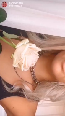 Summer Rose