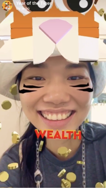 Year of the Tiger
