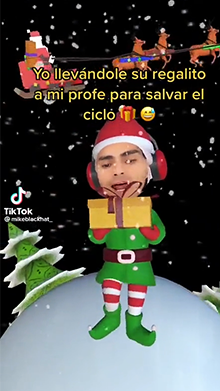 Christmas Elf