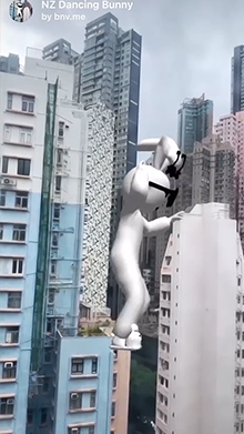 NZ Dancing Bunny