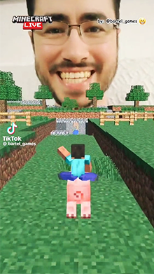 Crazy Pig Minecraft