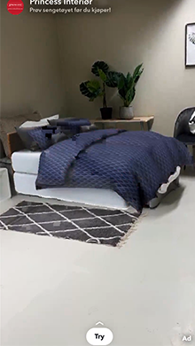 Princess Interior | Lenslist