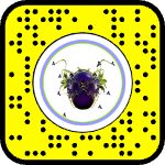 AR effect icon