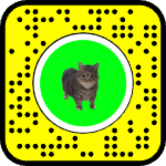 AR effect icon