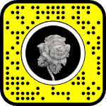AR effect icon