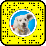 AR effect icon