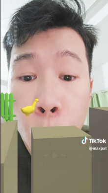 VOICE - Chicken Fly