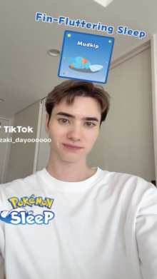 Your Pokémon Sleep Style