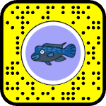 AR effect icon