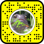 AR effect icon
