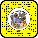 AR effect icon