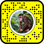 AR effect icon
