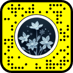 AR effect icon