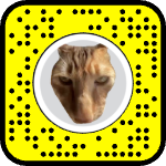 AR effect icon